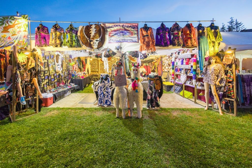 4848-music-festival-013