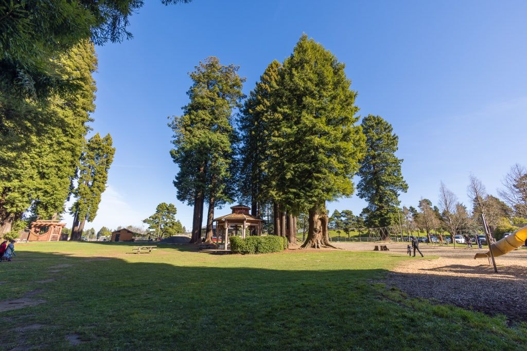 sequoia-park-garden-016