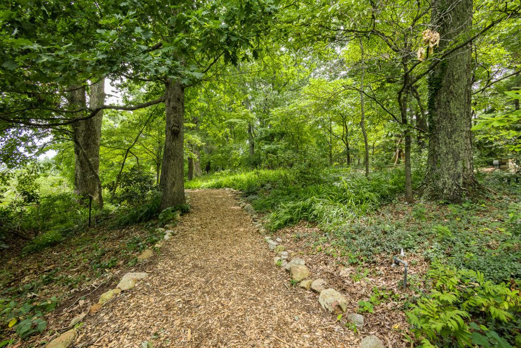 Mill Mountain Wildflower Garden