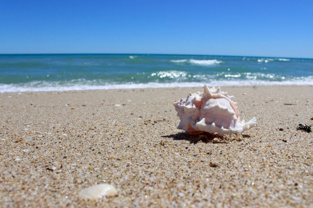 La Jolla Beach (Playa La Jolla)