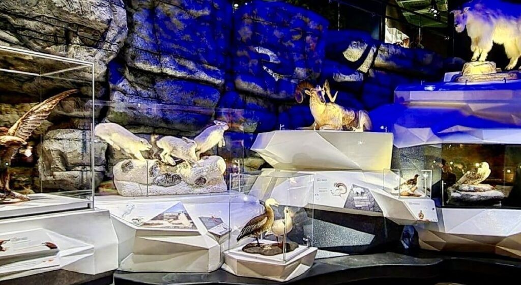 cook-museum-of-natural-science-002