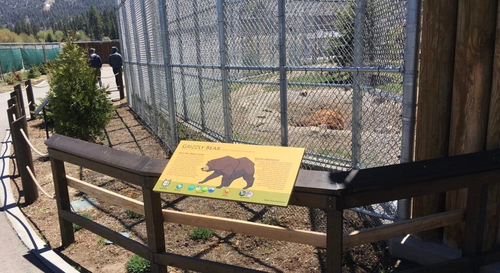 big-bear-alpine-zoo-001