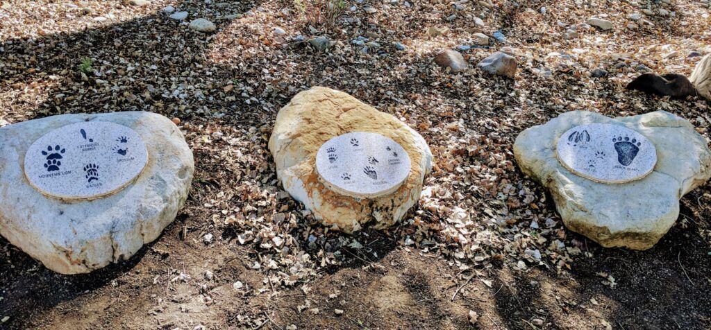 neal-taylor-nature-center-002