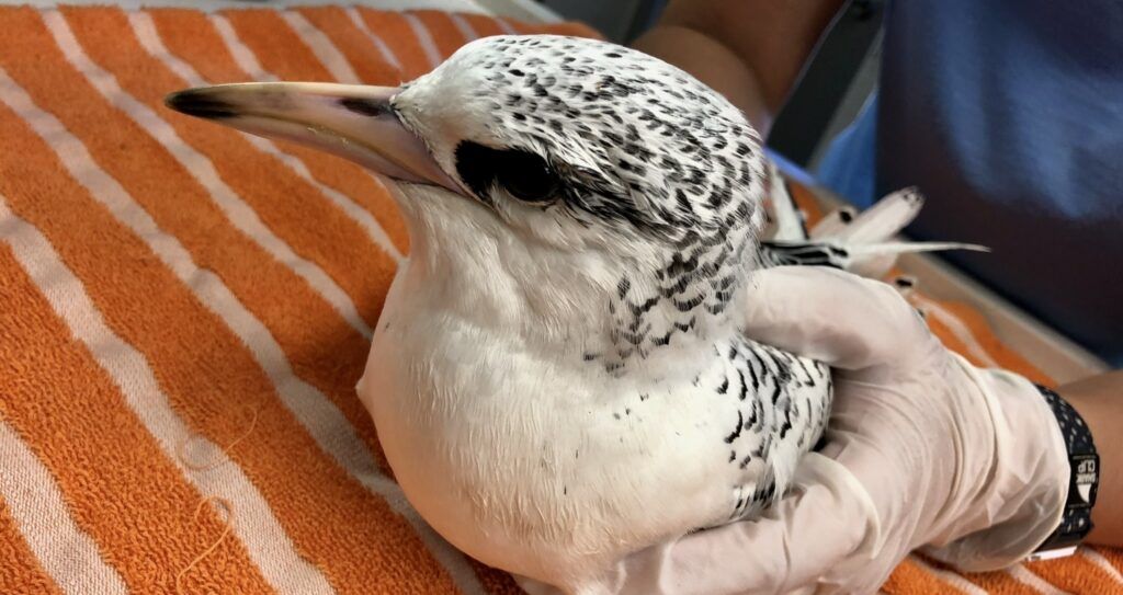 marine-science-center-004