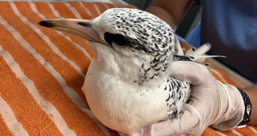 marine-science-center-004