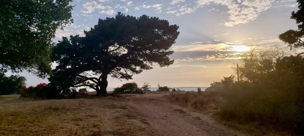 douglas-family-preserve-003