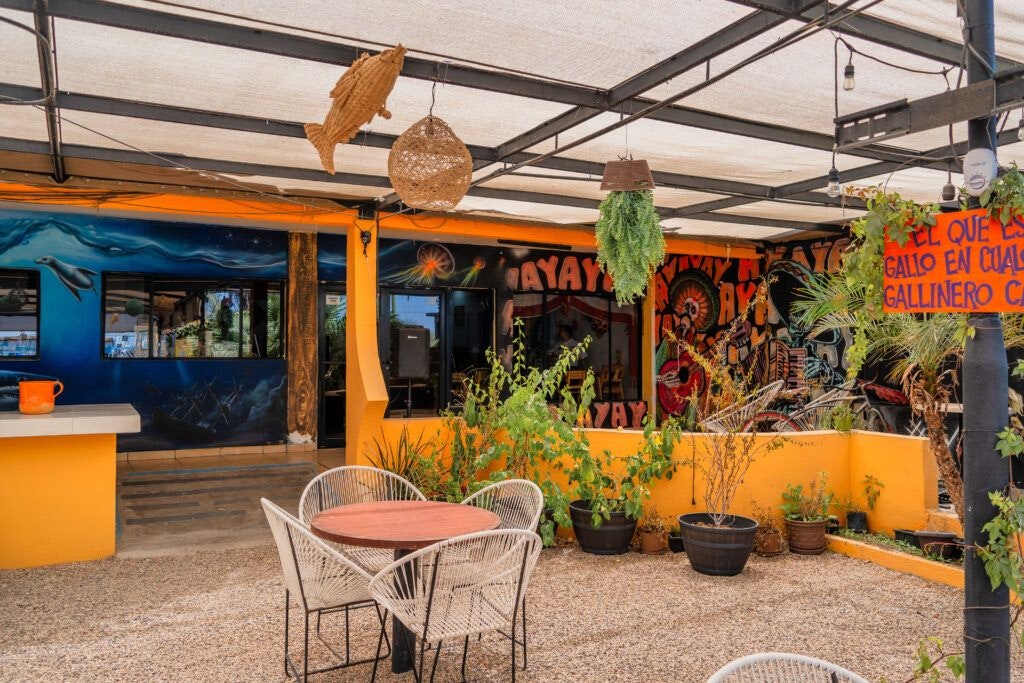 los-mtz-by-las-gaviotas-005