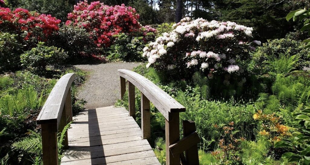 mendocino-coast-botanical-gardens-003