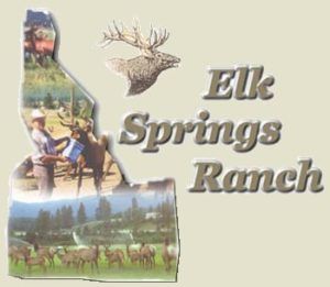 Elk Springs Ranch - View and Feed the Elk