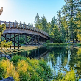 Cardinal Landing Bridge