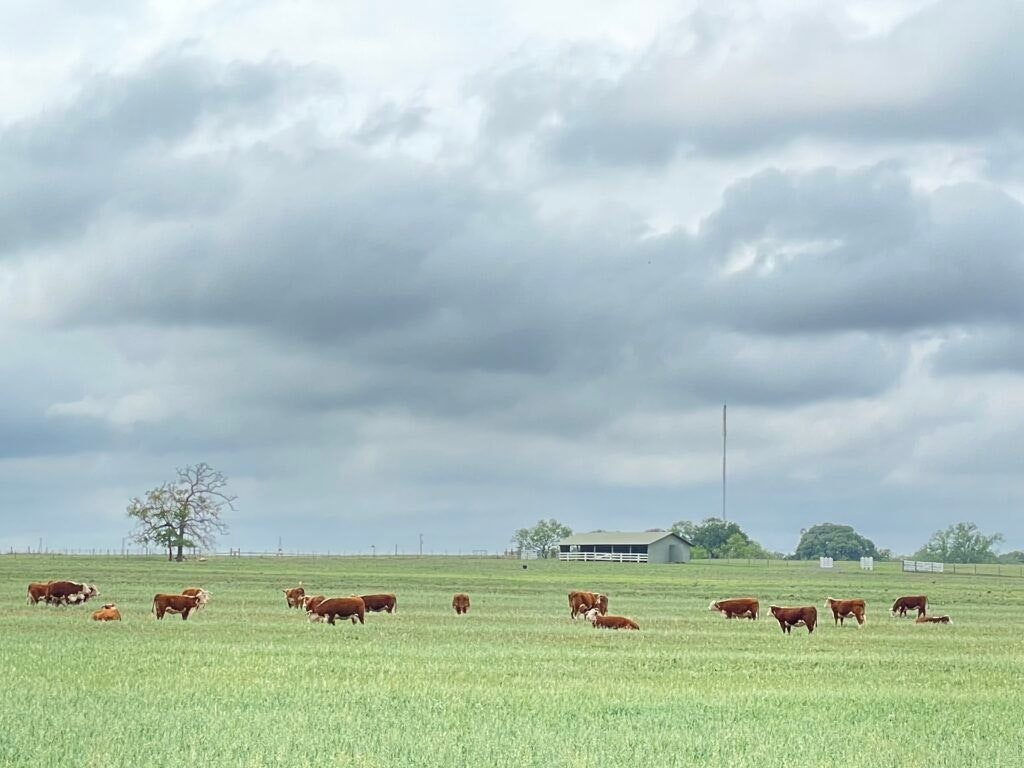 lyndon-b-johnson-national-historical-park-visitor-center-and-park-headquarters-015