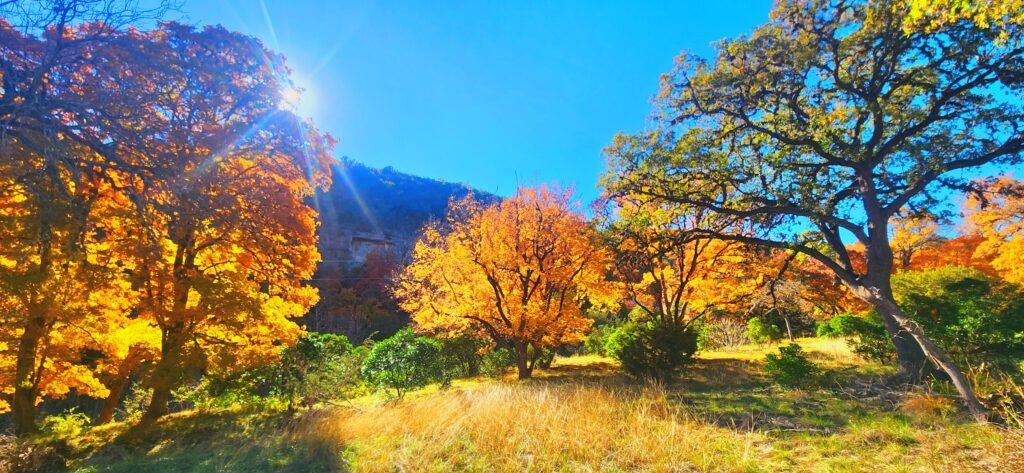 lost-maples-east-trail-001