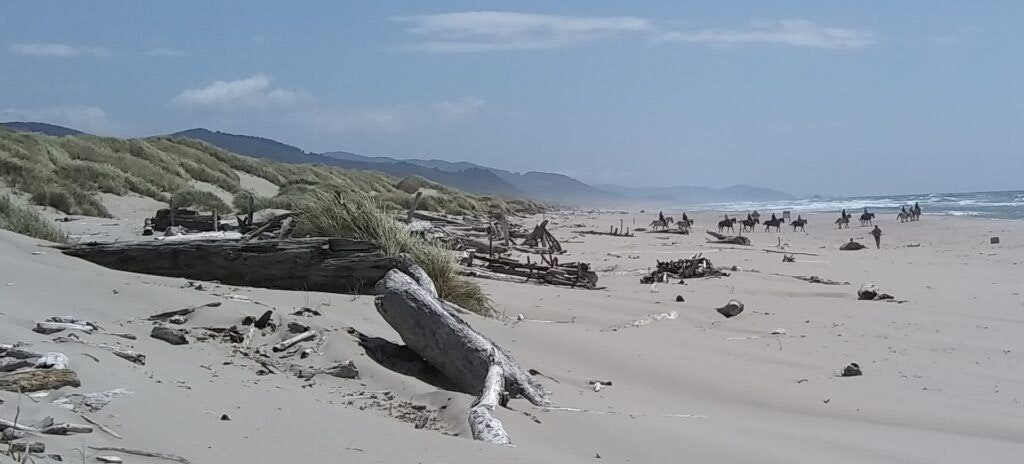 oregon-beach-rides-003