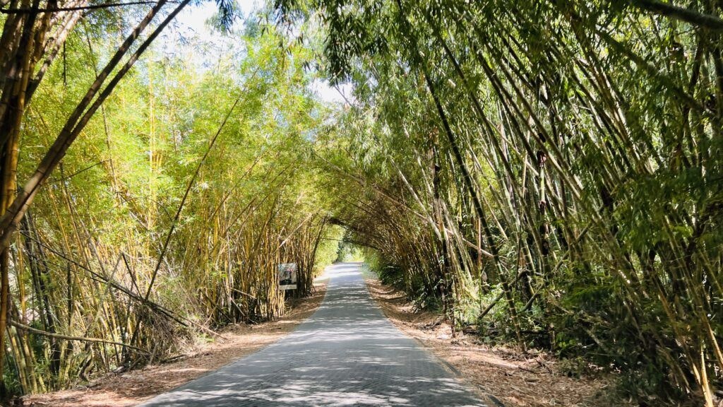 carara-national-park-004