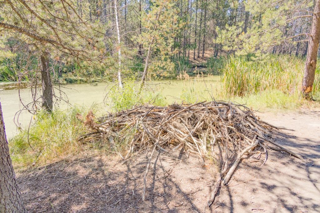 sunriver-nature-center-and-oregon-observatory-035
