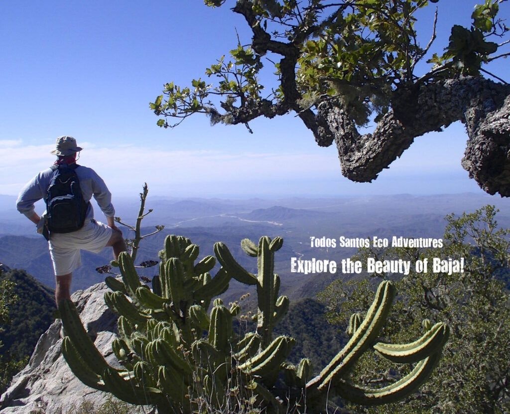 todos-santos-eco-adventures-002