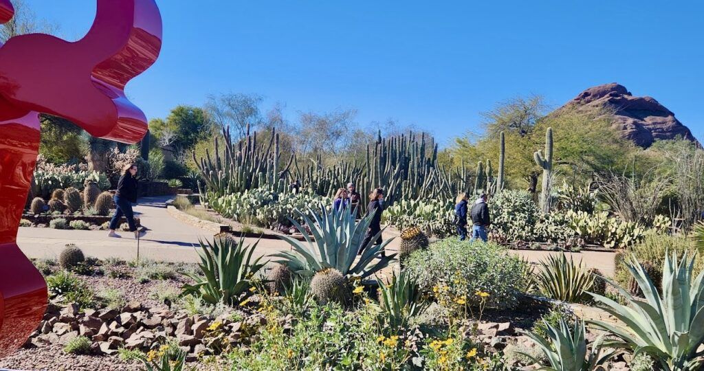 Desert Botanical Garden