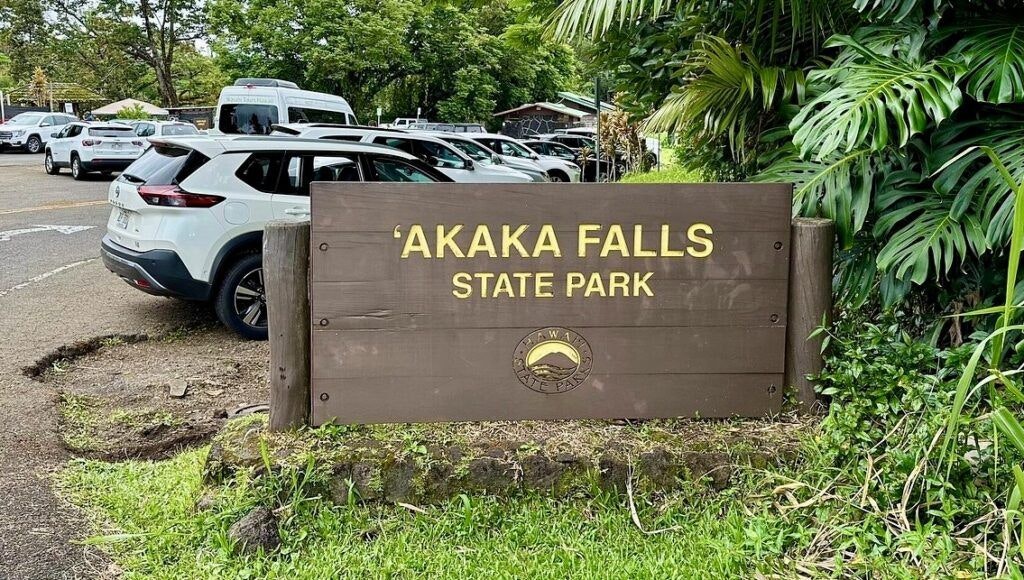 akaka-falls-state-park-002