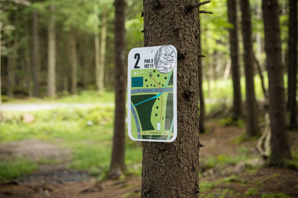 fairy-diddle-disc-golf-012