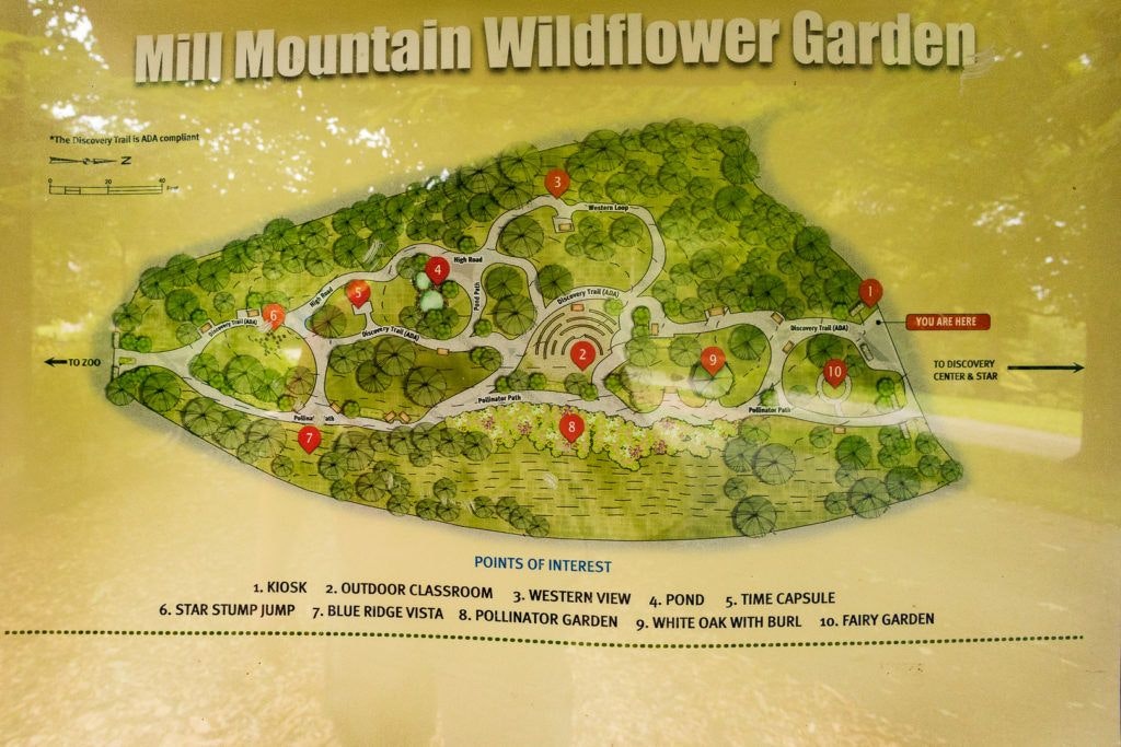 mill-mountain-wildflower-garden-009