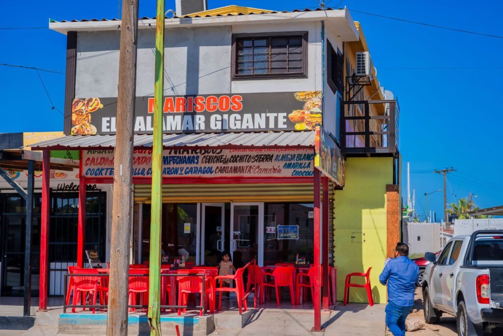 el-calamar-gigante-012