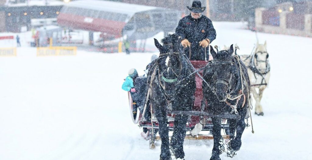 snowed-inn-sleigh-company-004