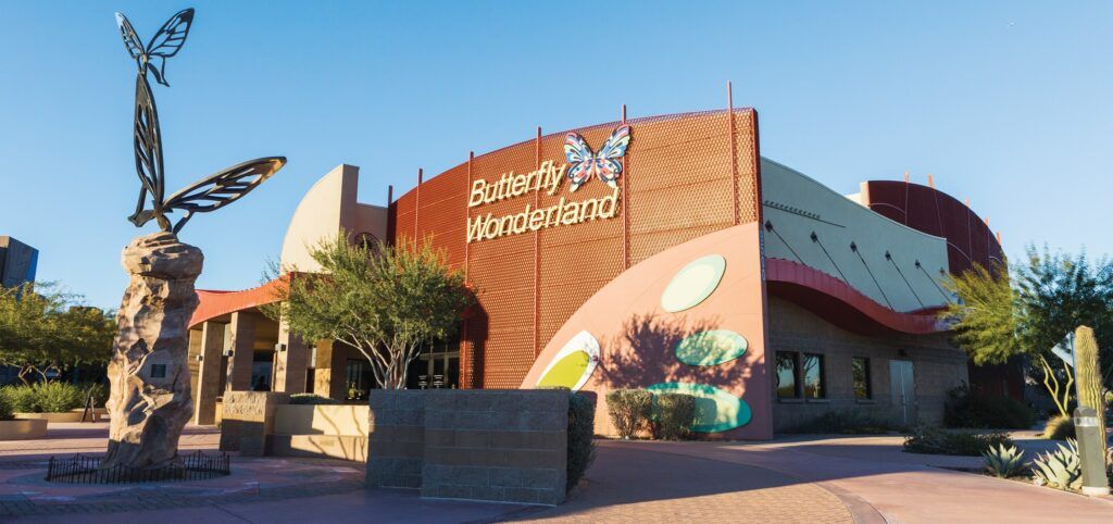 Butterfly Wonderland