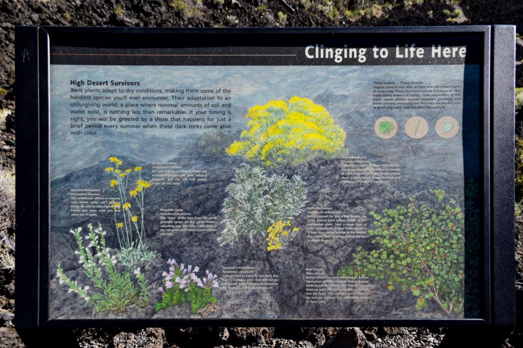 lava-butte-and-lands-visitor-center-025