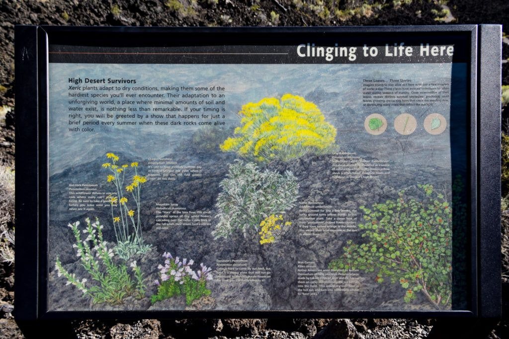 lava-butte-and-lands-visitor-center-025