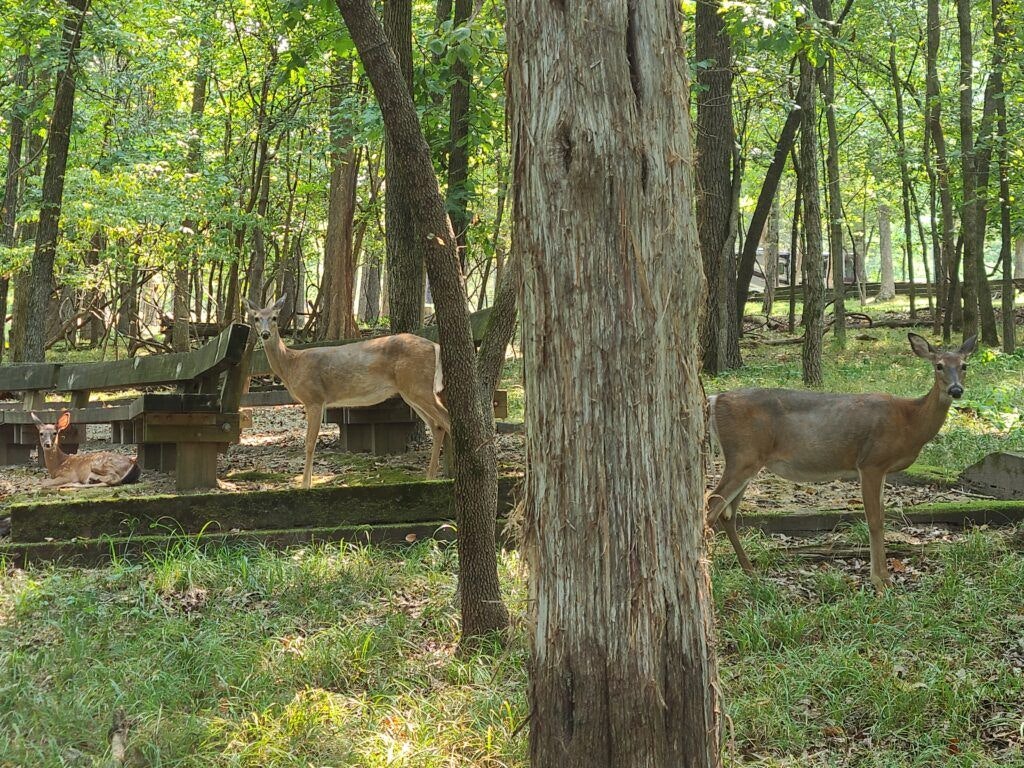 lake-of-the-ozarks-state-park-002