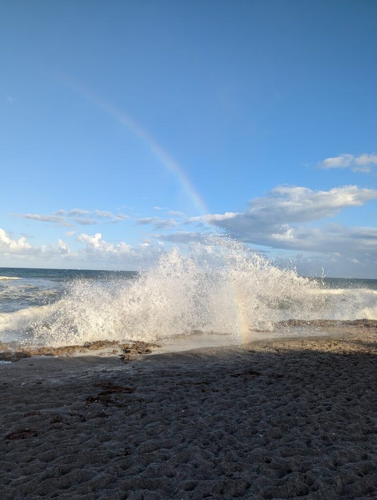 the-nature-conservancy-blowing-rocks-preserve-002