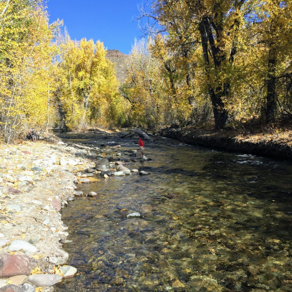  Wood River Trail Trailhead