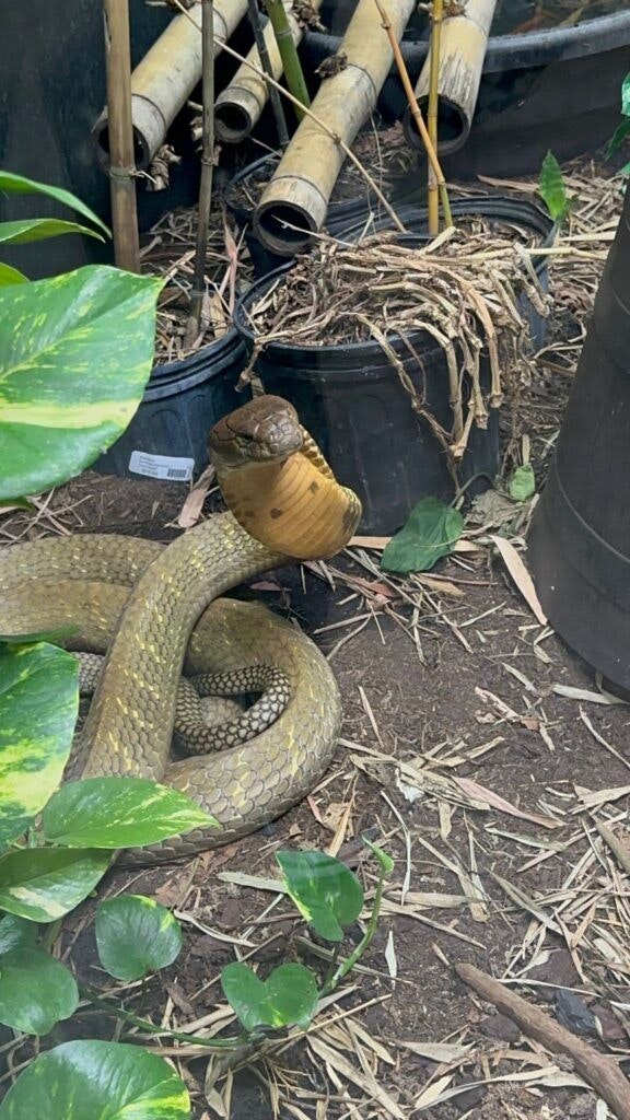 chandler-s-wild-world-002