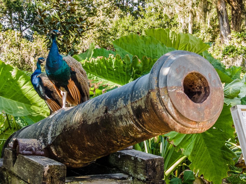 Ponce de Leon's Fountain of Youth Archaeological Park