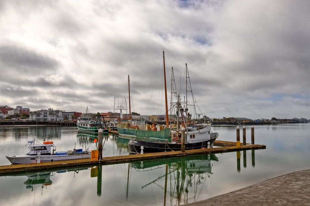 woodley-island-marina-002