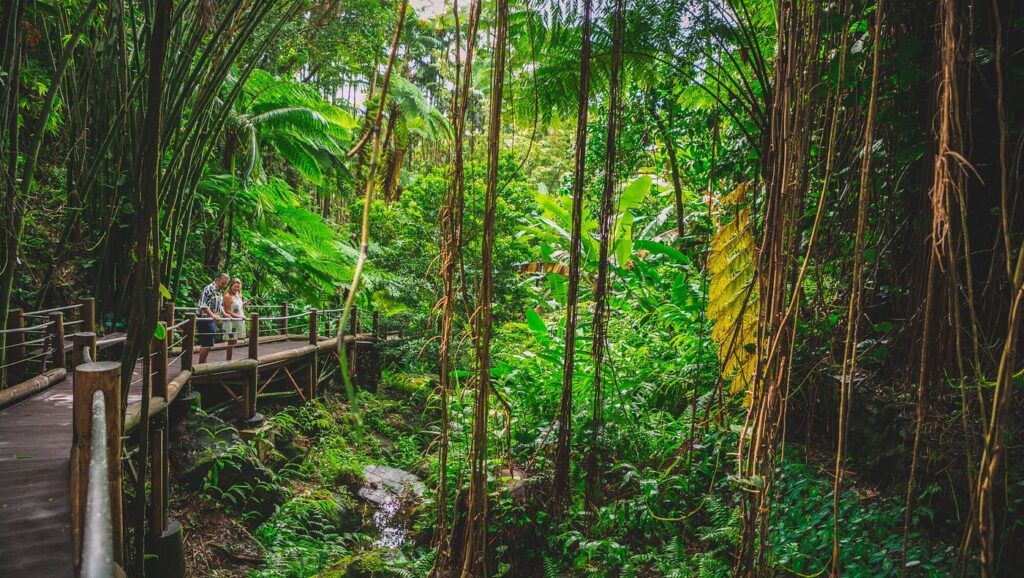 hawai-i-tropical-botanical-garden-003