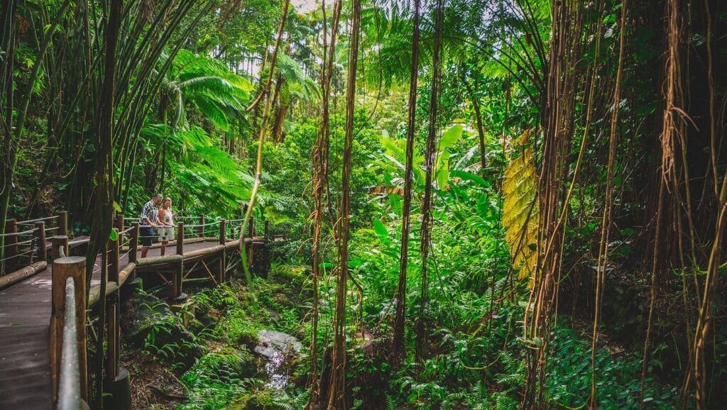 hawai-i-tropical-botanical-garden-003