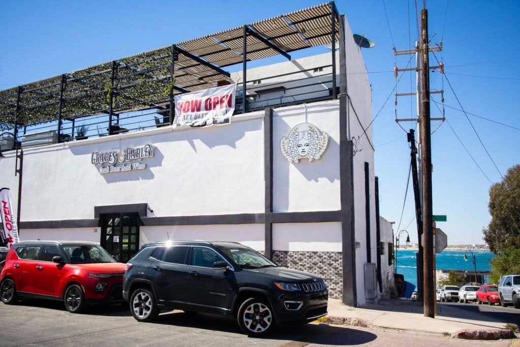 grapes-and-barley-029