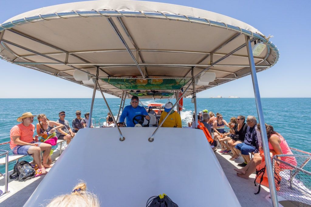 bird-island-isla-san-jorge-004