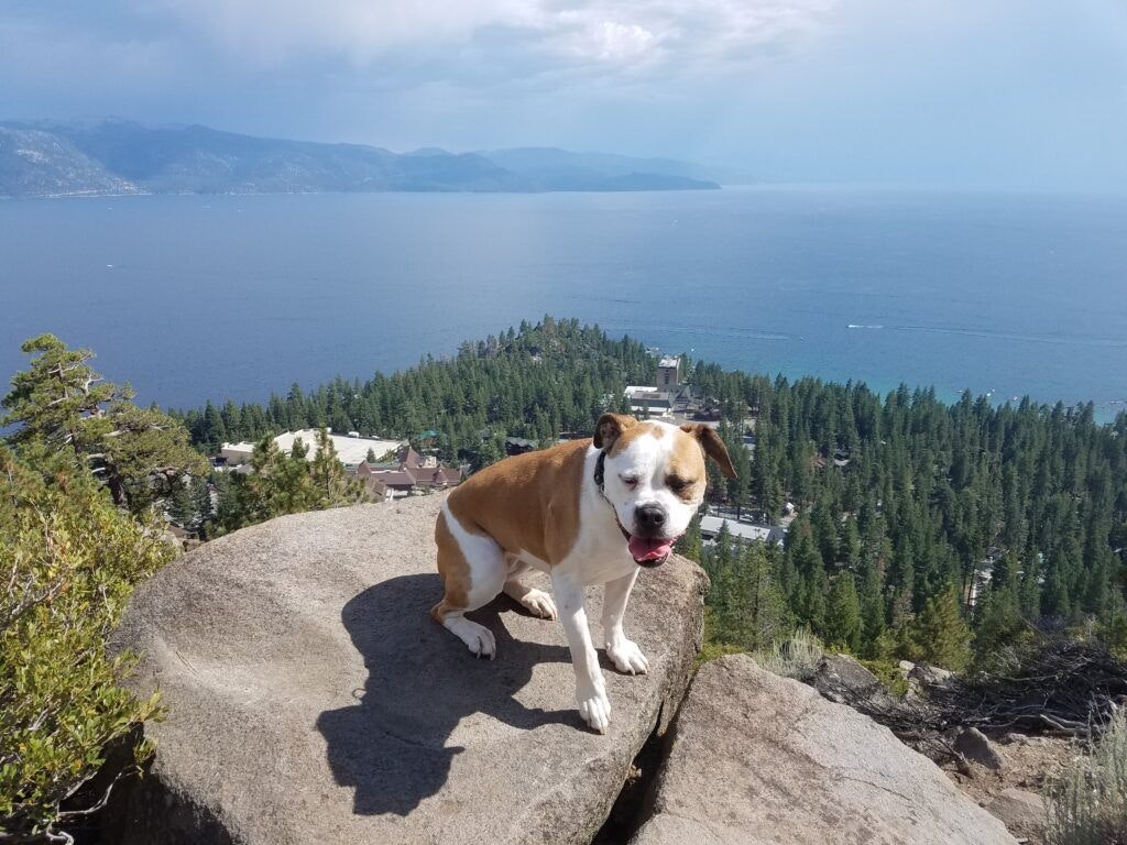 historic-stateline-fire-lookout-003