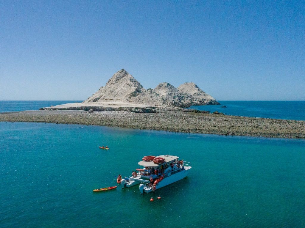 bird-island-isla-san-jorge-005