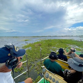 Marsh Beast Airboat Tours