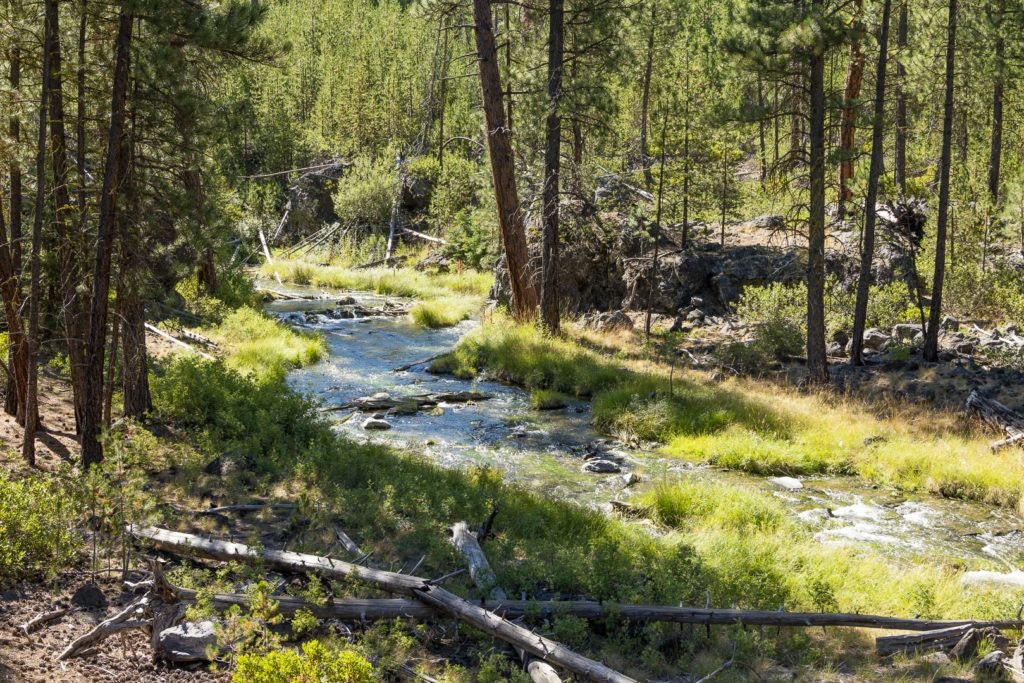 natural-water-slides-hike-and-paulina-plunge-tour-016