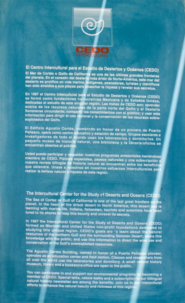 cedo-intercultural-center-for-the-study-of-deserts-and-oceans-014