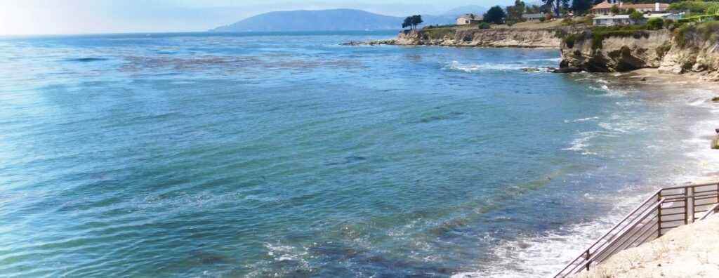 eldwayen-ocean-park-004