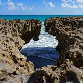 The Nature Conservancy Blowing Rocks Preserve