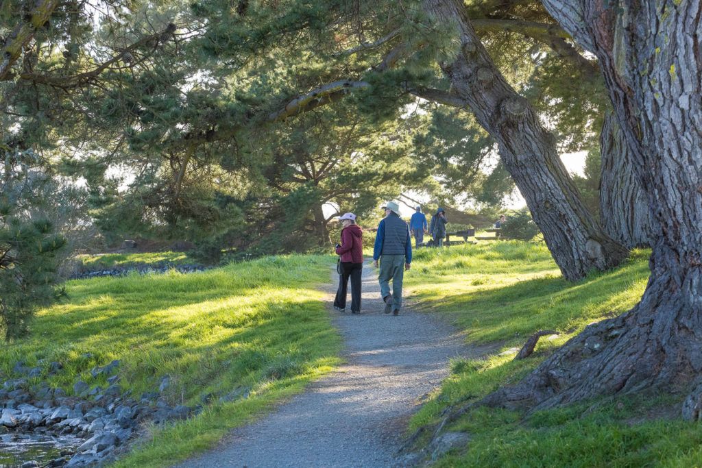 arcata-marsh-and-wildlife-sanctuary-014