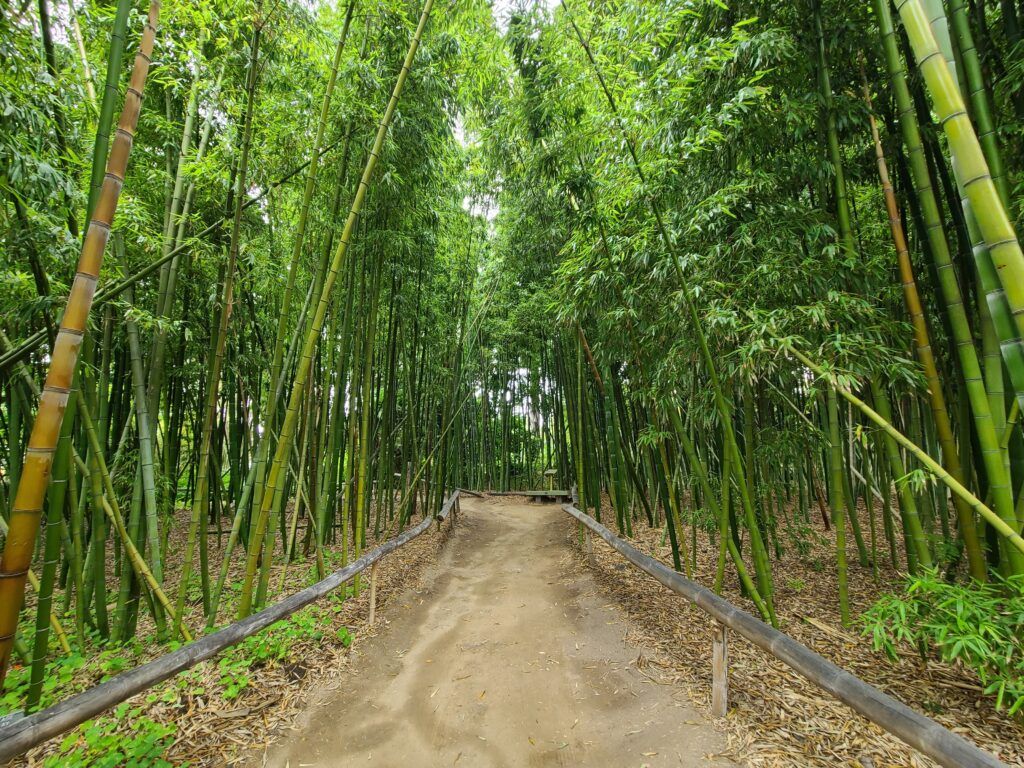 San Diego Botanic Garden