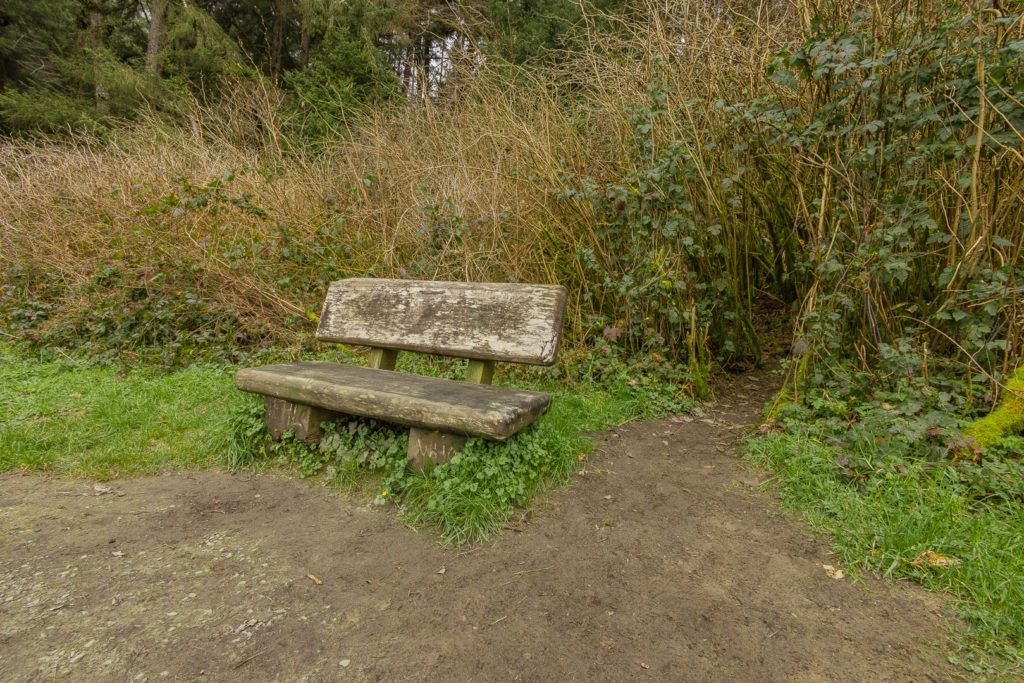 fern-canyon-inside-prairie-creek-redwoods-state-park-017