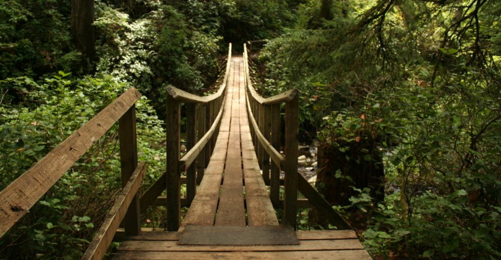 oswald-west-state-park-004